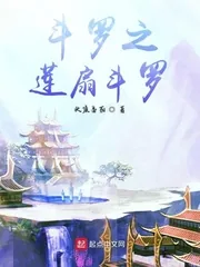 《斗罗之莲扇斗罗》小说封面