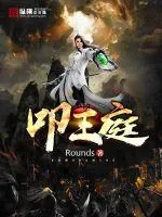 《叩王庭》小说封面