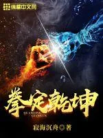 《拳定乾坤》小说封面