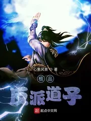 《极品反派道子》小说封面