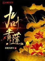 《九叶青莲》小说封面