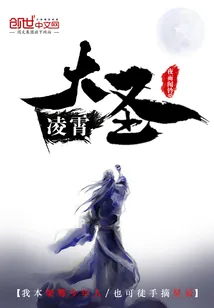 《凌霄大圣》小说封面