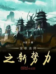 《全职法师之新势力》小说封面