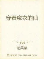 《穿着魔衣的仙》小说封面