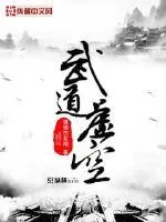 《武道虚空》小说封面