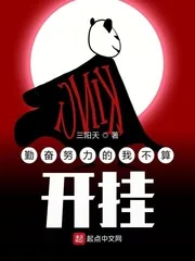 《勤奋努力的我不算开挂》小说封面