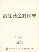 《醒在黄金时代末》小说封面