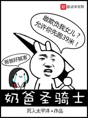 《奶爸圣骑士》小说封面