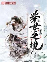 《举世之境》小说封面