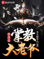 《我真是掌教大老爷》小说封面