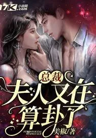 《总裁，夫人又在算卦了》小说封面