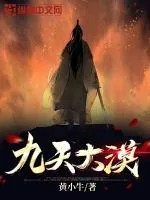 《九天大漠》小说封面