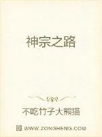 《神宗之路》小说封面