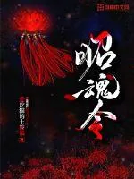 《昭魂令》小说封面