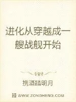 《进化从穿越成一艘战舰开始》小说封面
