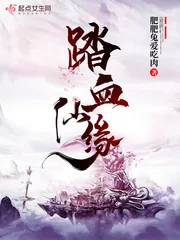 《踏血仙缘》小说封面