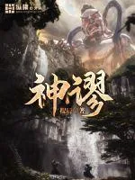 《神谬》小说封面