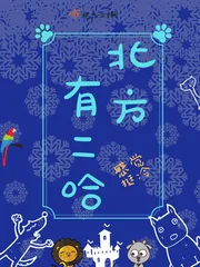 《北方有二哈》小说封面