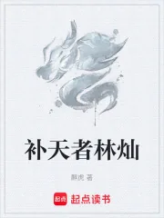 《补天者林灿》小说封面