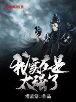 《我实在是太强了》小说封面