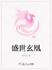 《盛世玄凰》小说封面