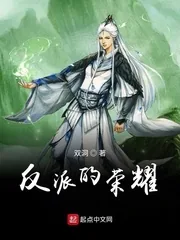 《反派的荣耀》小说封面