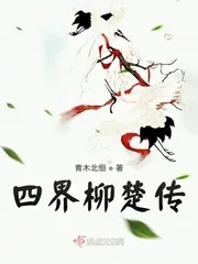 《四界柳楚传》小说封面
