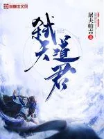 《弑天道君》小说封面
