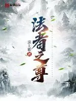 《法者之尊》小说封面