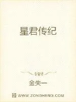 《星君传纪》小说封面
