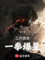 《三尺微命，一拳爆星》小说封面