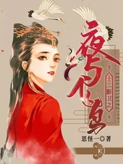 《十二影卫之夜与飞鸟》小说封面