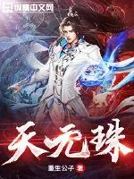 《天元珠》小说封面