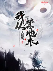 《我从禁地来》小说封面