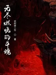 《无尽燃烧的斗魂》小说封面