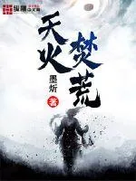 《天火焚荒》小说封面