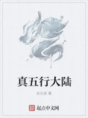 《真五行大陆》小说封面