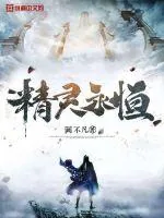 《精灵永恒》小说封面