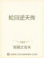 《轮回逆天传》小说封面