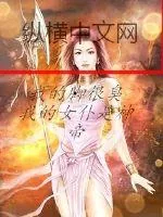 《我的女仆是神帝》小说封面