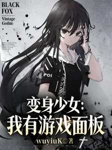 《变身少女：我有游戏面板》小说封面