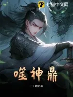 《噬神鼎》小说封面