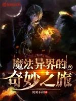 《魔法异界的奇妙之旅》小说封面
