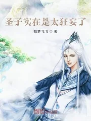 《圣子实在是太狂妄了》小说封面