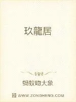 《九龙居》小说封面