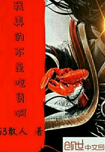 《我真的不是吃货啊》小说封面