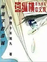 《神泪下的孤城》小说封面