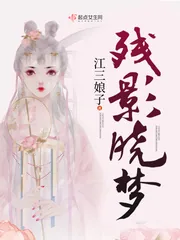 《残影晓梦》小说封面