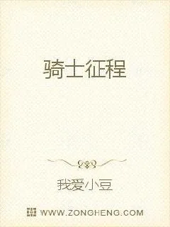 《骑士征程》小说封面