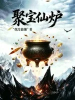 《聚宝仙炉》小说封面